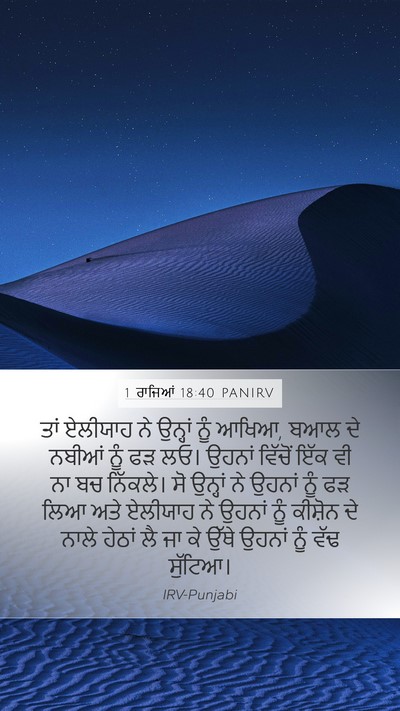 1 ਰਾਜਿਆਂ 18:40 PANIRV Bible Verse Image