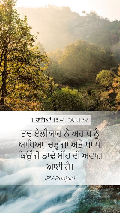 1 ਰਾਜਿਆਂ 18:41 PANIRV Bible Verse Image