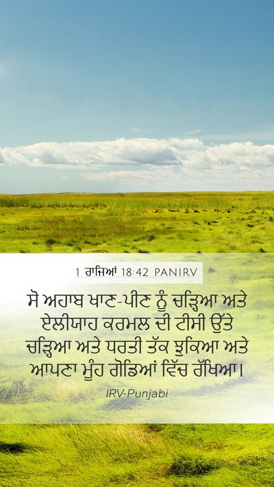 1 ਰਾਜਿਆਂ 18:42 PANIRV Bible Verse Image