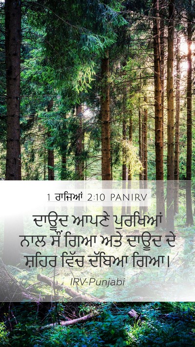 1 ਰਾਜਿਆਂ 2:10 PANIRV Bible Verse Image