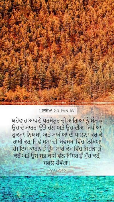 1 ਰਾਜਿਆਂ 2:3 PANIRV Bible Verse Image