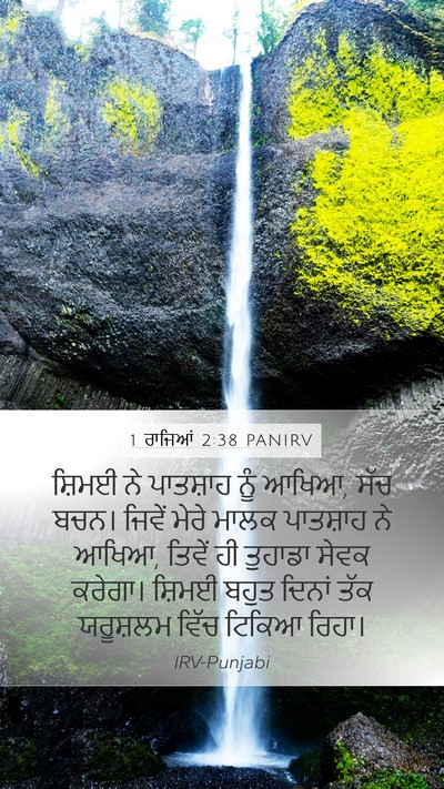 1 ਰਾਜਿਆਂ 2:38 PANIRV Mobile Phone Wallpaper - ਸ਼ਿਮਈ ਨੇ ਪਾਤਸ਼ਾਹ - Mobile Bible Verse Wallpaper