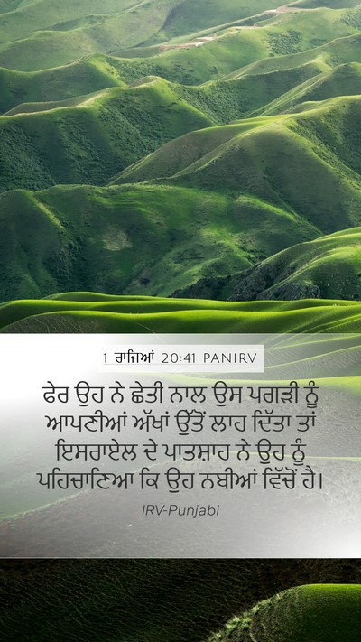 1 ਰਾਜਿਆਂ 20:41 PANIRV Mobile Phone Wallpaper - ਫੇਰ ਉਹ ਨੇ ਛੇਤੀ ਨਾਲ - Mobile Bible Verse Wallpaper