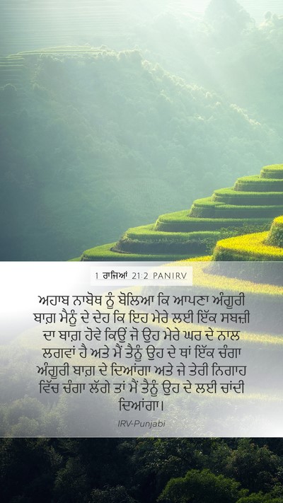 1 ਰਾਜਿਆਂ 21:2 PANIRV Bible Verse Image