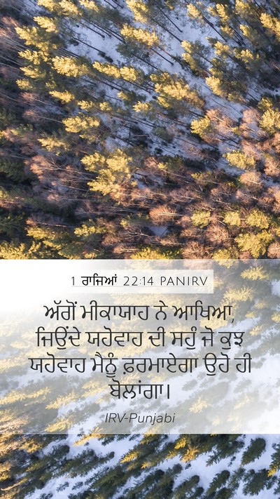 1 ਰਾਜਿਆਂ 22:14 PANIRV Bible Verse Image