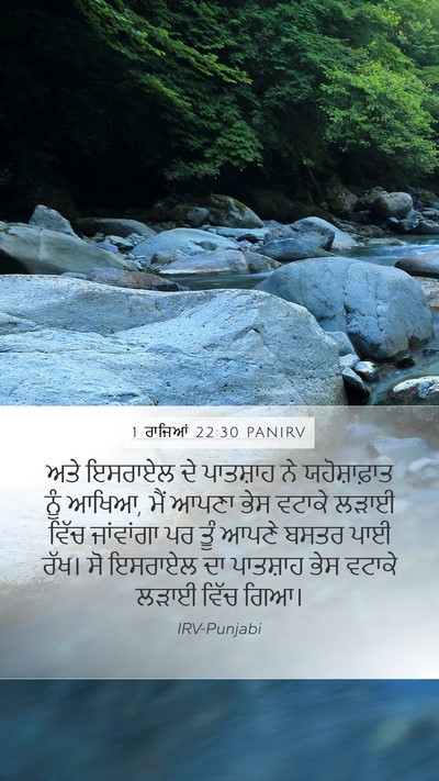 1 ਰਾਜਿਆਂ 22:30 PANIRV Bible Verse Image