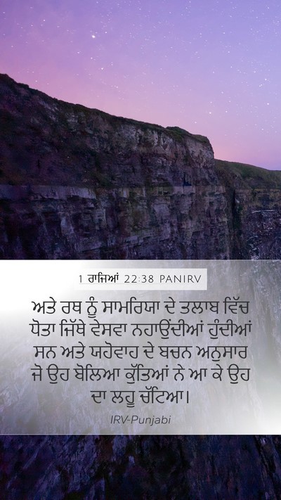 1 ਰਾਜਿਆਂ 22:38 PANIRV Bible Verse Image