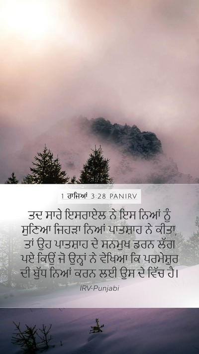 1 ਰਾਜਿਆਂ 3:28 PANIRV Bible Verse Image