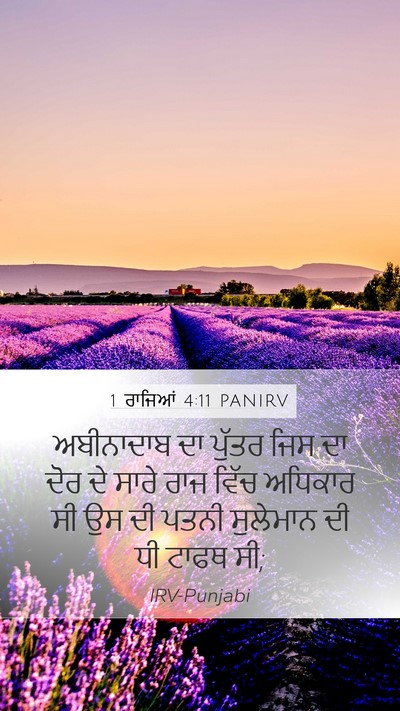 1 ਰਾਜਿਆਂ 4:11 PANIRV Bible Verse Image
