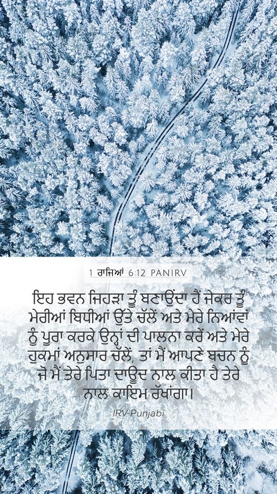 1 ਰਾਜਿਆਂ 6:12 PANIRV Bible Verse Image