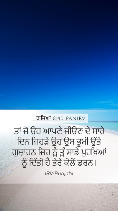 1 ਰਾਜਿਆਂ 8:40 PANIRV Bible Verse Image