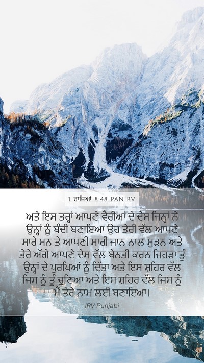 1 ਰਾਜਿਆਂ 8:48 PANIRV Bible Verse Image