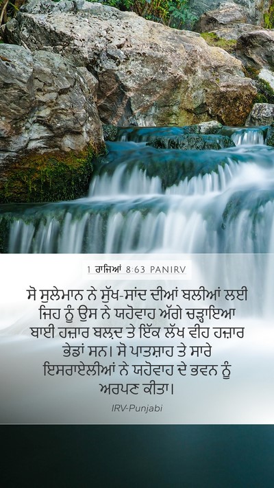 1 ਰਾਜਿਆਂ 8:63 PANIRV Bible Verse Image