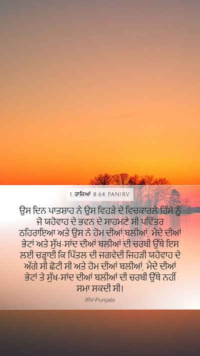 1 ਰਾਜਿਆਂ 8:64 PANIRV Bible Verse Image