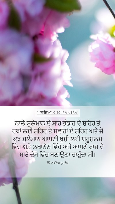 1 ਰਾਜਿਆਂ 9:19 PANIRV Bible Verse Image