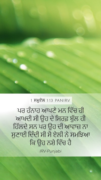 1 ਸਮੂਏਲ 1:13 PANIRV Bible Verse Image