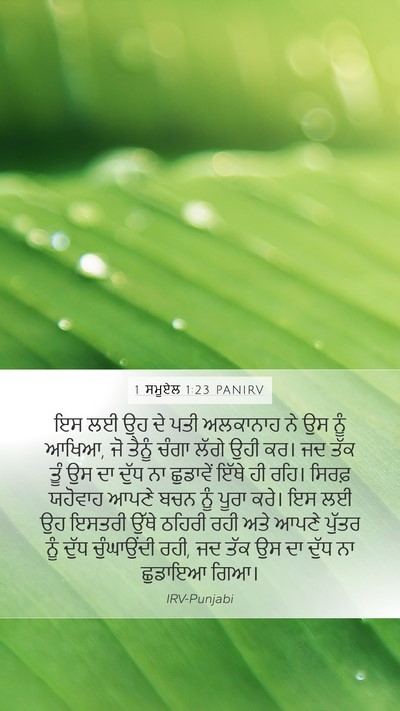 1 ਸਮੂਏਲ 1:23 PANIRV Mobile Phone Wallpaper - ਇਸ ਲਈ ਉਹ ਦੇ ਪਤੀ - Mobile Bible Verse Wallpaper