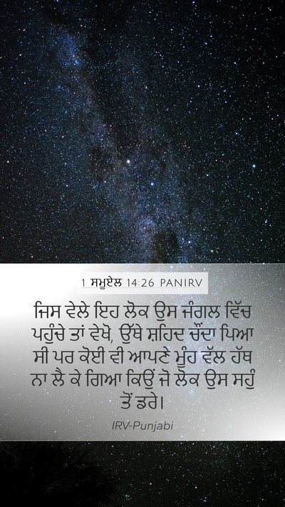 1 ਸਮੂਏਲ 14:26 PANIRV Bible Verse Image