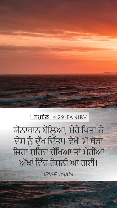 1 ਸਮੂਏਲ 14:29 PANIRV Bible Verse Image