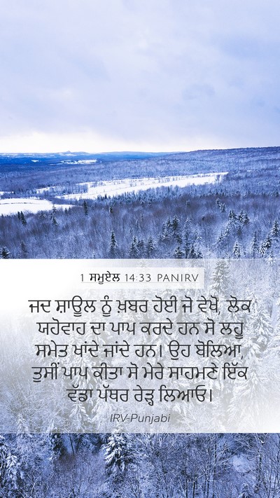 1 ਸਮੂਏਲ 14:33 PANIRV Bible Verse Image