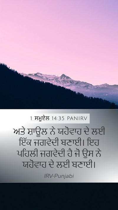 1 ਸਮੂਏਲ 14:35 PANIRV Bible Verse Image