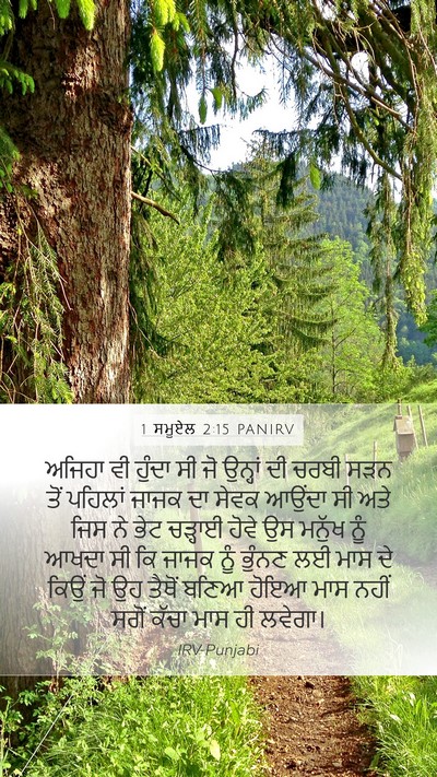 1 ਸਮੂਏਲ 2:15 PANIRV Bible Verse Image