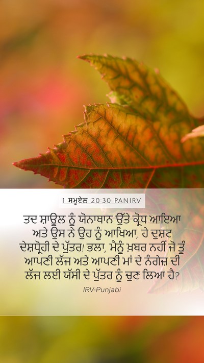 1 ਸਮੂਏਲ 20:30 PANIRV Bible Verse Image