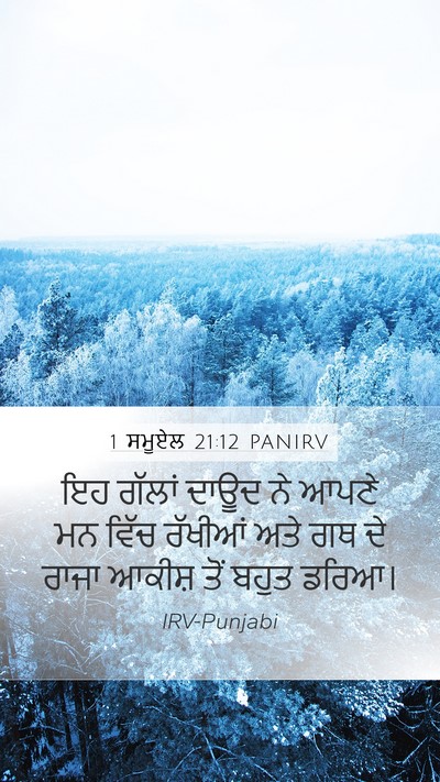 1 ਸਮੂਏਲ 21:12 PANIRV Bible Verse Image