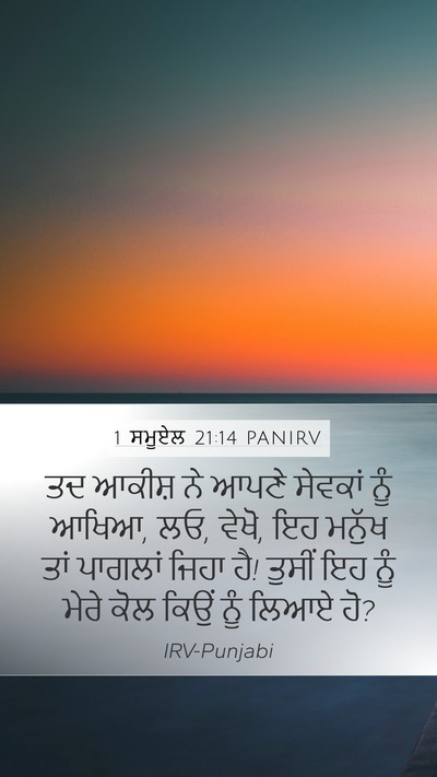 1 ਸਮੂਏਲ 21:14 PANIRV Mobile Phone Wallpaper - ਤਦ ਆਕੀਸ਼ ਨੇ ਆਪਣੇ - Mobile Bible Verse Wallpaper