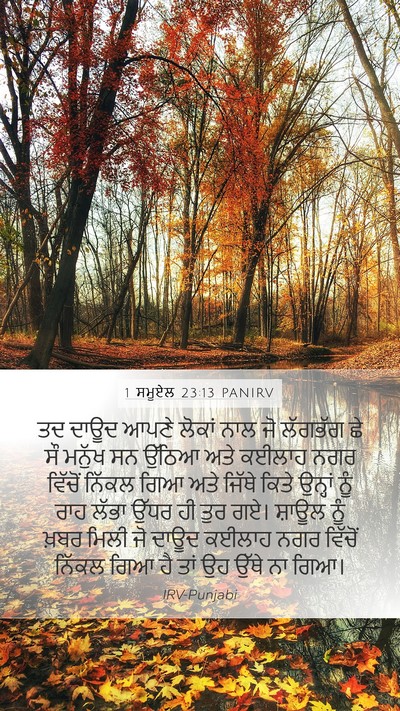 1 ਸਮੂਏਲ 23:13 PANIRV Bible Verse Image