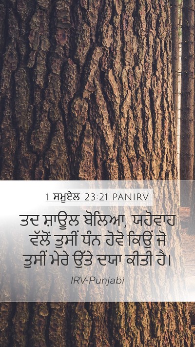1 ਸਮੂਏਲ 23:21 PANIRV Bible Verse Image