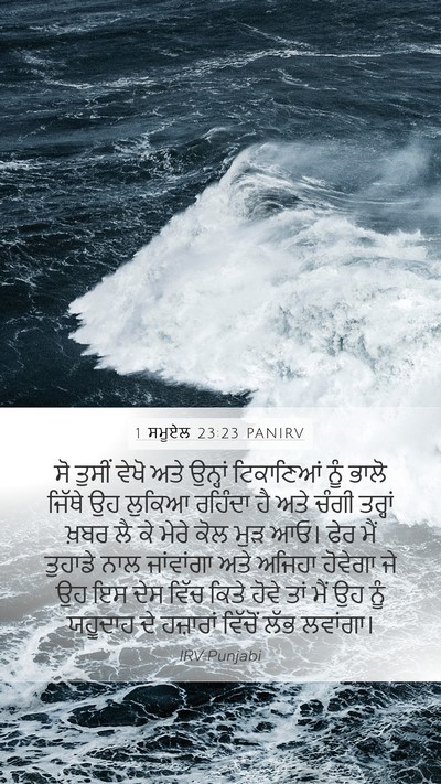 1 ਸਮੂਏਲ 23:23 PANIRV Bible Verse Image