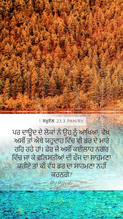 1 ਸਮੂਏਲ 23:3 PANIRV Mobile Phone Wallpaper - ਪਰ ਦਾਊਦ ਦੇ ਲੋਕਾਂ ਨੇ - Mobile Bible Verse Wallpaper