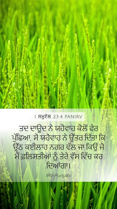 1 ਸਮੂਏਲ 23:4 PANIRV Bible Verse Image