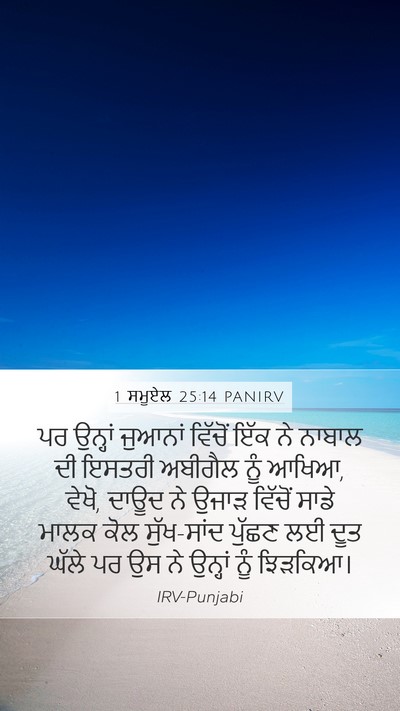 1 ਸਮੂਏਲ 25:14 PANIRV Mobile Phone Wallpaper - ਪਰ ਉਨ੍ਹਾਂ ਜੁਆਨਾਂ - Mobile Bible Verse Wallpaper