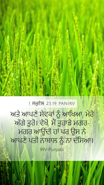 1 ਸਮੂਏਲ 25:19 PANIRV Bible Verse Image
