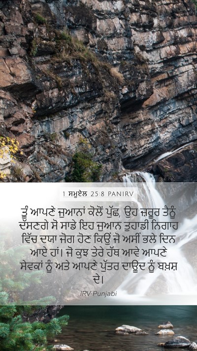1 ਸਮੂਏਲ 25:8 PANIRV Bible Verse Image