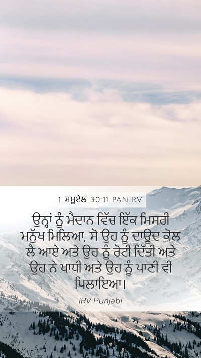 1 ਸਮੂਏਲ 30:11 PANIRV Bible Verse Image