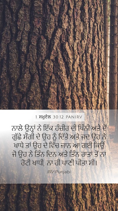 1 ਸਮੂਏਲ 30:12 PANIRV Bible Verse Image