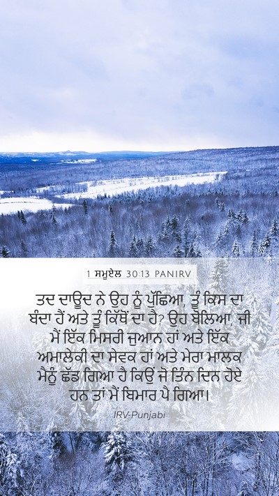 1 ਸਮੂਏਲ 30:13 PANIRV Bible Verse Image