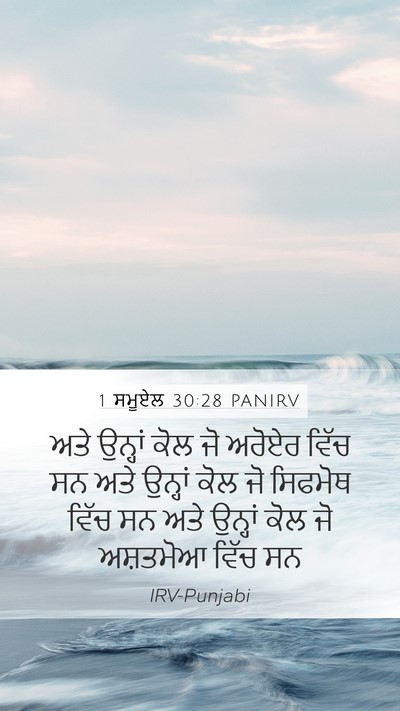 1 ਸਮੂਏਲ 30:28 PANIRV Bible Verse Image