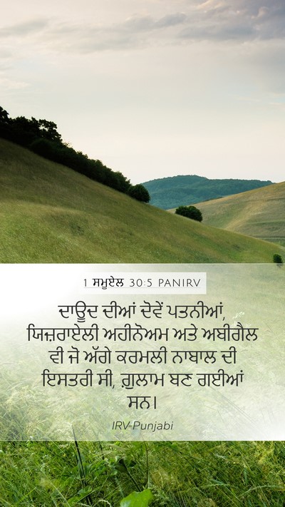 1 ਸਮੂਏਲ 30:5 PANIRV Bible Verse Image