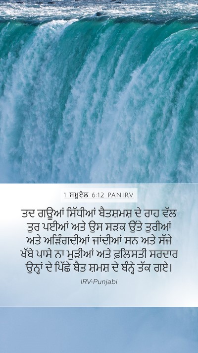 1 ਸਮੂਏਲ 6:12 PANIRV Bible Verse Image