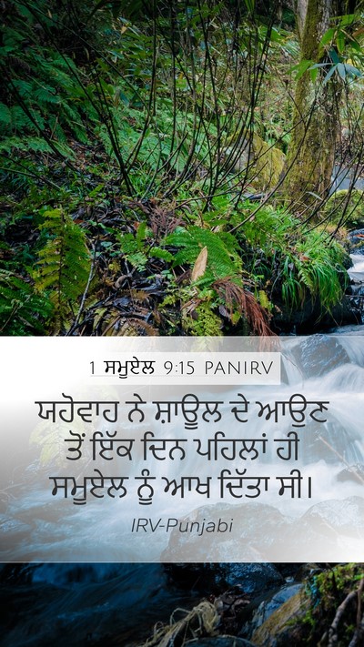 1 ਸਮੂਏਲ 9:15 PANIRV Bible Verse Image