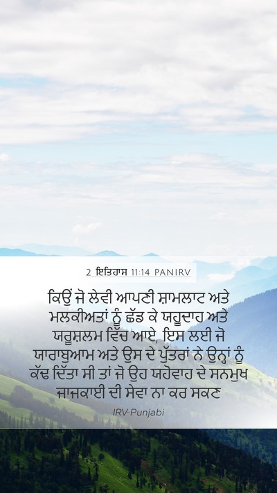 2 ਇਤਿਹਾਸ 11:14 PANIRV Bible Verse Image
