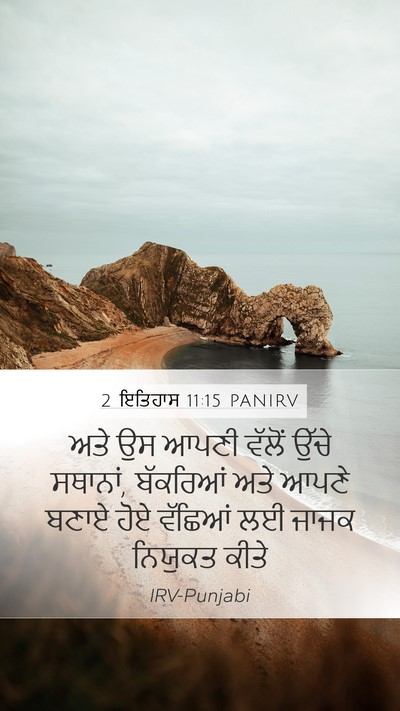 2 ਇਤਿਹਾਸ 11:15 PANIRV Bible Verse Image