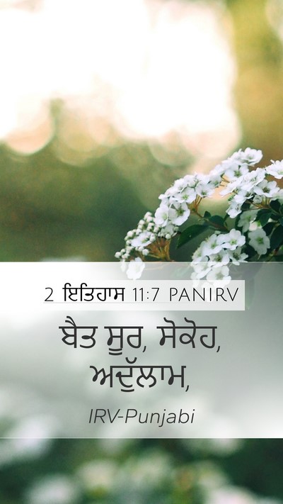 2 ਇਤਿਹਾਸ 11:7 PANIRV Bible Verse Image