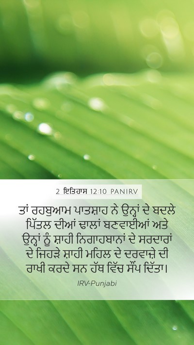2 ਇਤਿਹਾਸ 12:10 PANIRV Bible Verse Image