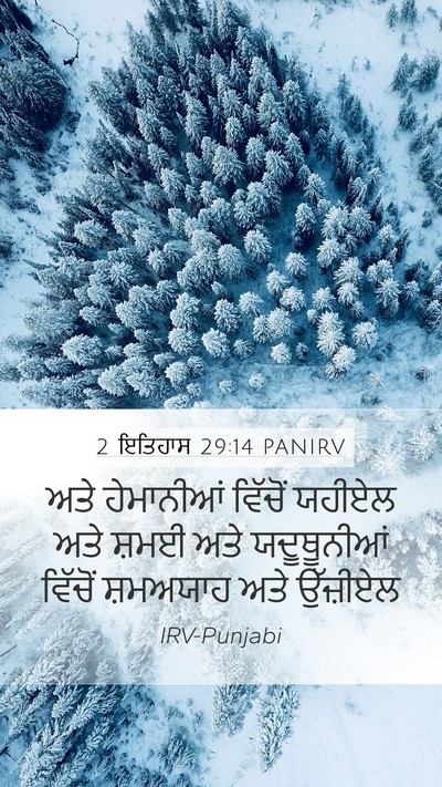 2 ਇਤਿਹਾਸ 29:14 PANIRV Bible Verse Image
