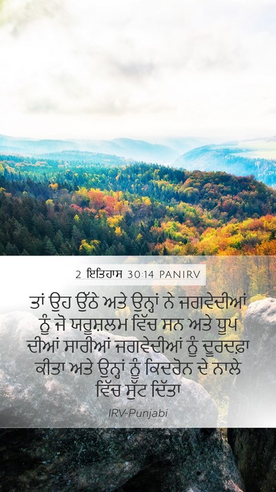 2 ਇਤਿਹਾਸ 30:14 PANIRV Bible Verse Image